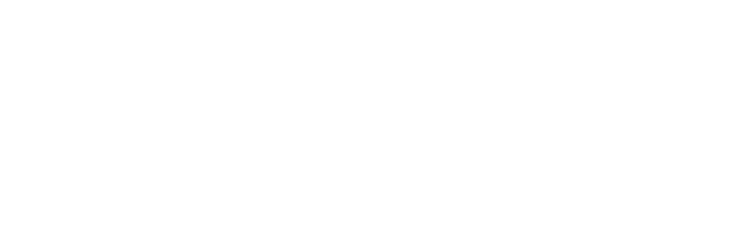 Lia Borror – Shamanic Energy Healer | Practitioner & Spiritual Guide Logo