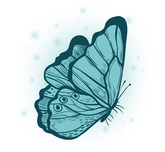 The Guide - Butterfly
